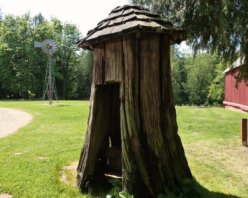 שירותים בצורת גדם ענק שירותים בצורת גדם ענק