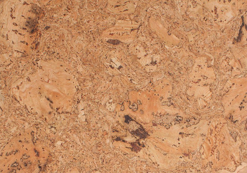 Structura tapetului din plută Structura tapetului din plută