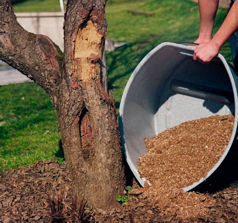 כבול משומש יכול לשמש דשן כבול משומש יכול לשמש דשן