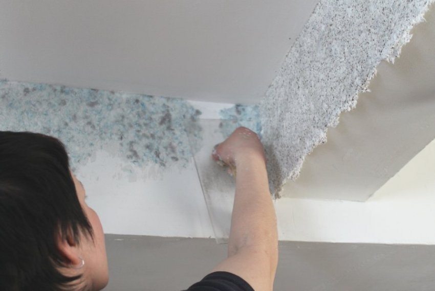 Aplikasi kertas dinding cecair DIY Aplikasi kertas dinding cecair DIY