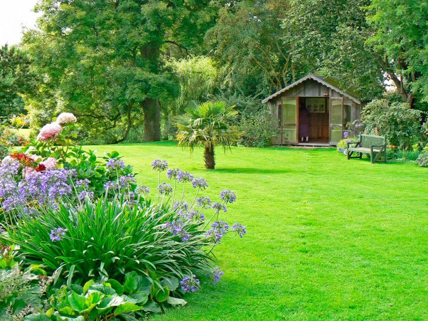 Тревна трева в крайградски район Тревна трева в крайградски район