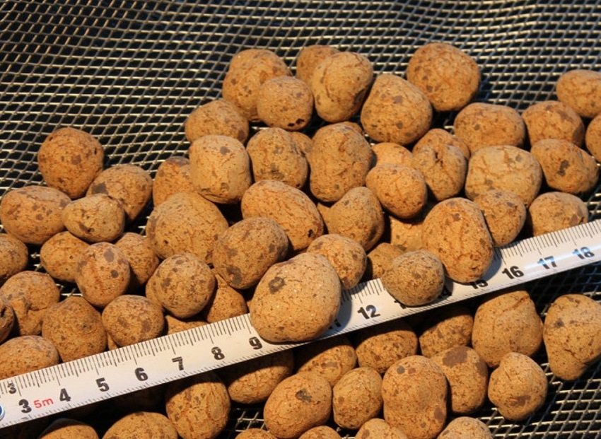 חימר מורחב יכול לשמש בידוד לגג ולרצפה חימר מורחב יכול לשמש בידוד לגג ולרצפה