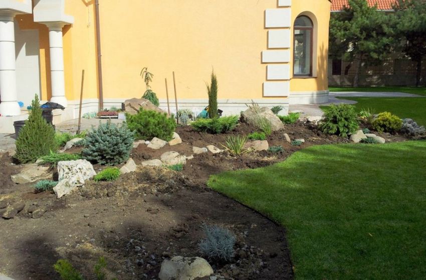 Krok 3: sadzenie roślin wieloletnich Krok 3: sadzenie roślin wieloletnich