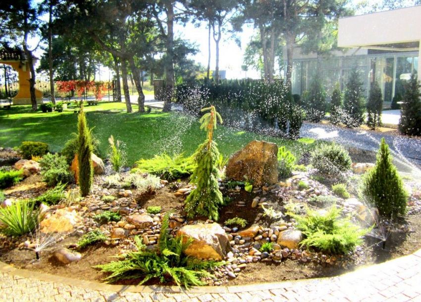 Krok 6: podlewanie gotowego ogrodu skalnego Krok 6: podlewanie gotowego ogrodu skalnego