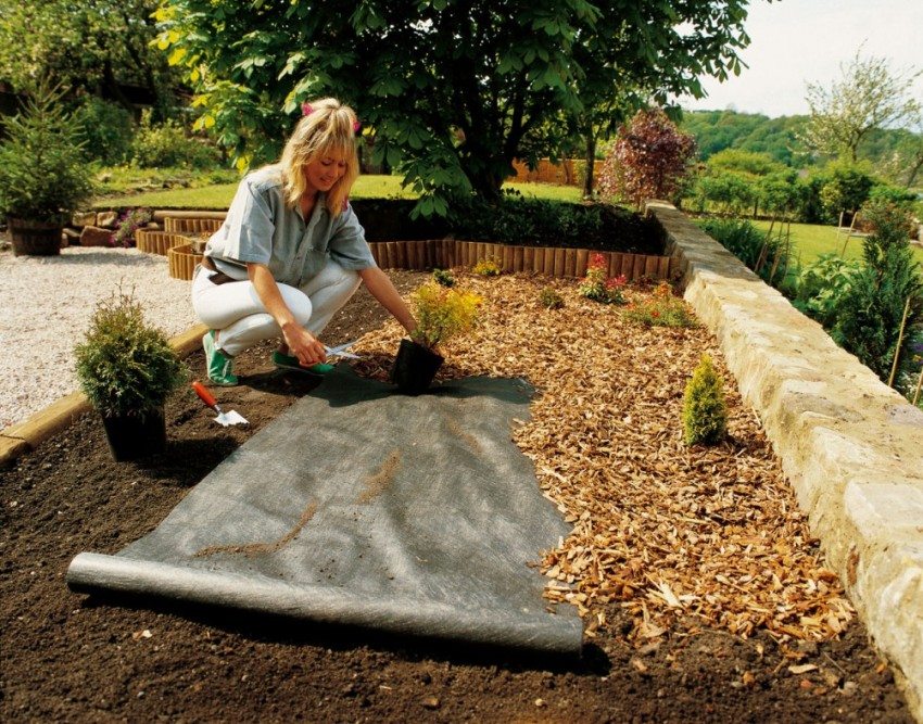 การใช้ geotextiles ในพืชสวน การใช้ geotextiles ในพืชสวน