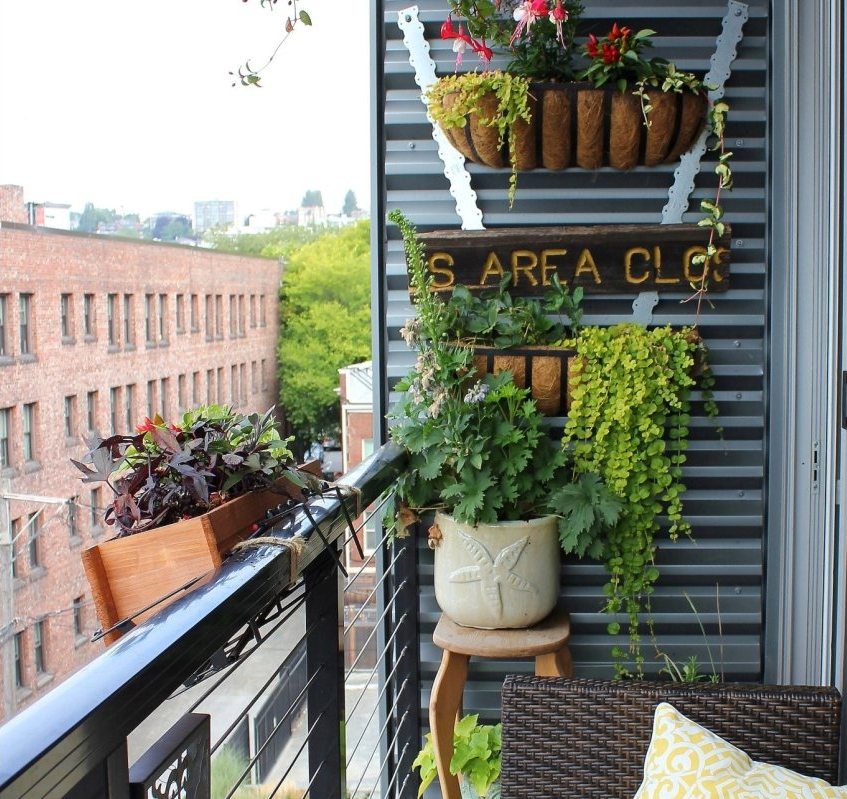 מתכת גיליון משמשת לקישוט המרפסת מתכת גיליון משמשת לקישוט המרפסת