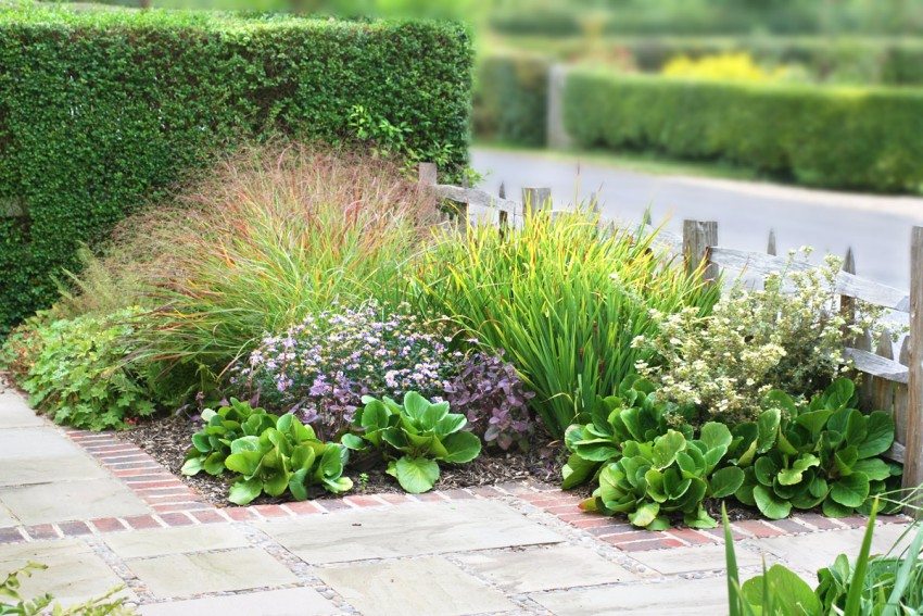 ערוגה קטנה עם פרחים ערוגה קטנה עם פרחים