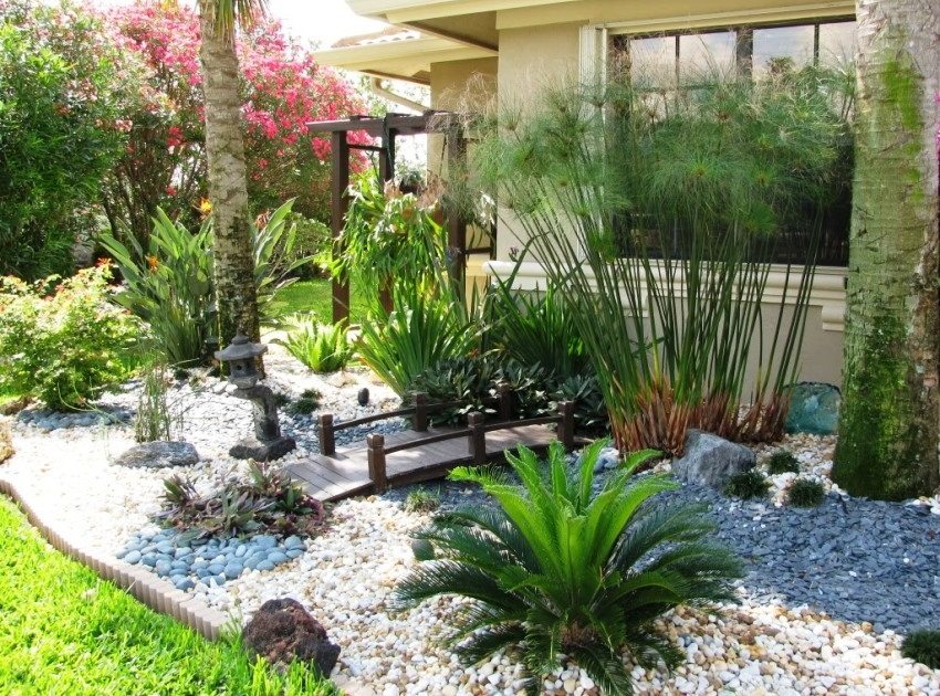 הרכב צמחים, אבנים וגשר עץ הרכב צמחים, אבנים וגשר עץ