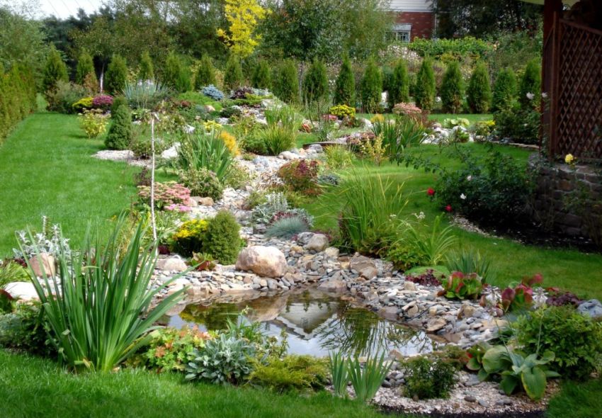 מגלשה אלפינית ובריכה קטנה מגלשה אלפינית ובריכה קטנה