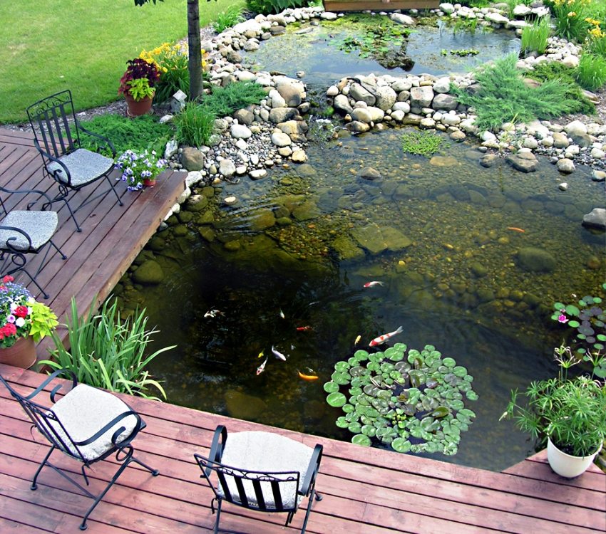 Możesz hodować ryby w stawie na wsi Możesz hodować ryby w stawie na wsi