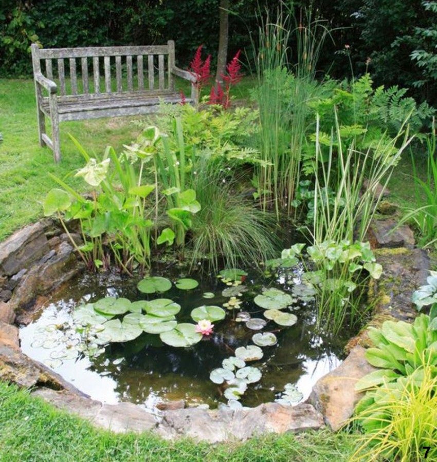 Krok 7: sadzenie roślin Krok 7: sadzenie roślin