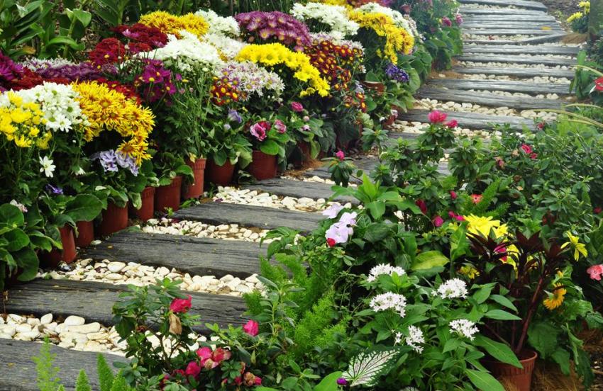 מסלול מקורי באמצעות עץ מסלול מקורי באמצעות עץ