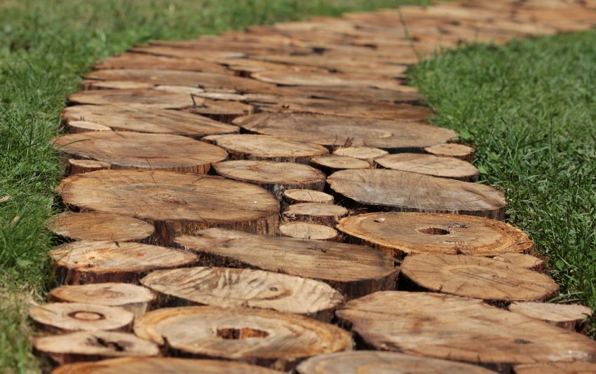 שביל קנבוס מעץ תוצרת בית שביל קנבוס מעץ תוצרת בית