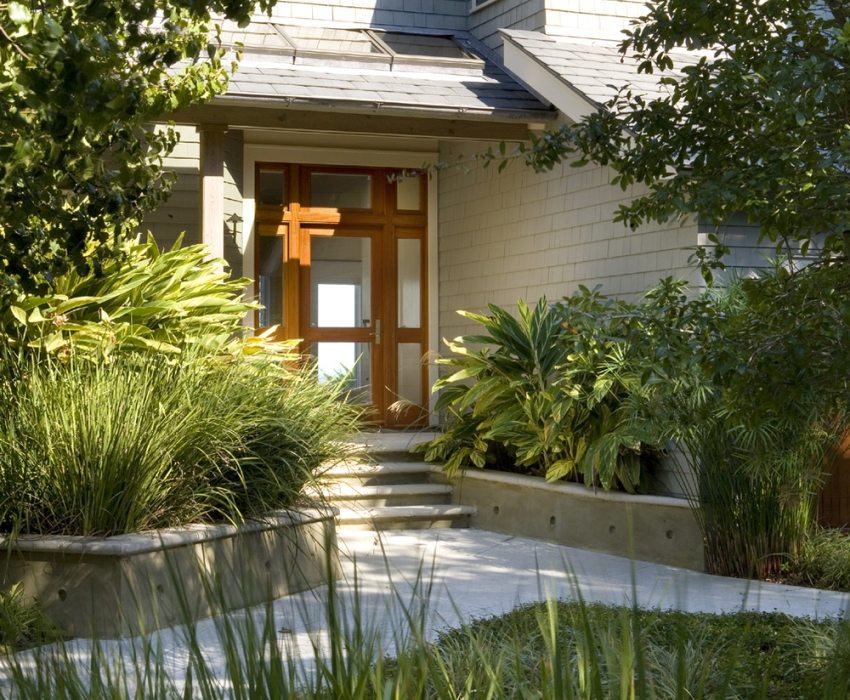 עץ נראה פלסטיק עץ נראה פלסטיק