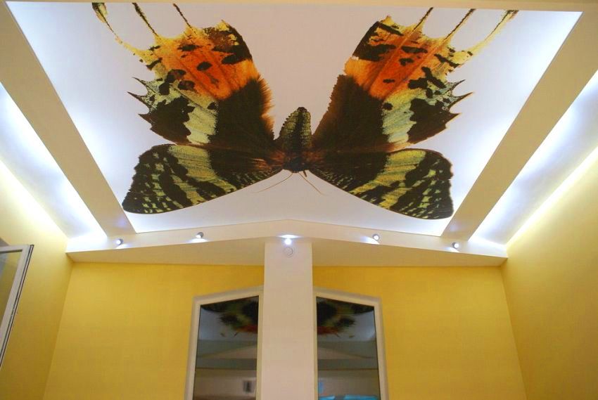 Impressió fotogràfica que representa una papallona en un sostre elàstic de tela Impressió fotogràfica que representa una papallona en un sostre elàstic de tela