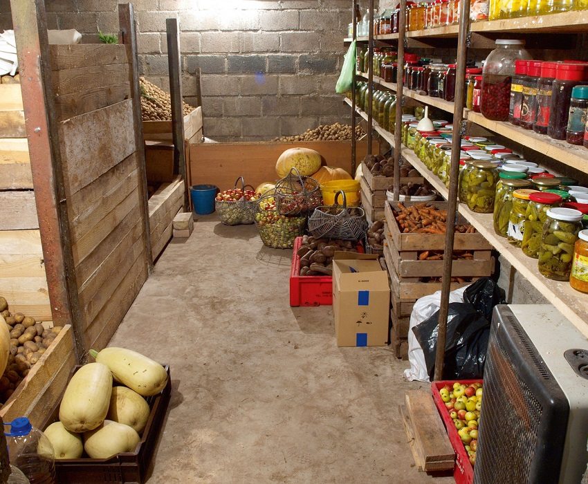 U podrumu s ispravnom mikroklimom ubrani urod ostat će netaknut U podrumu s ispravnom mikroklimom ubrani urod ostat će netaknut