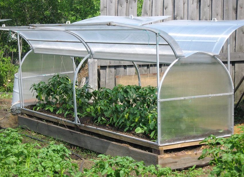 Szklarnia z poliwęglanu DIY Szklarnia z poliwęglanu DIY