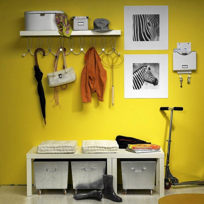 צבעים עזים ופתרונות יוצאי דופן בעיצוב המודרני של המסדרון צבעים עזים ופתרונות יוצאי דופן בעיצוב המודרני של המסדרון