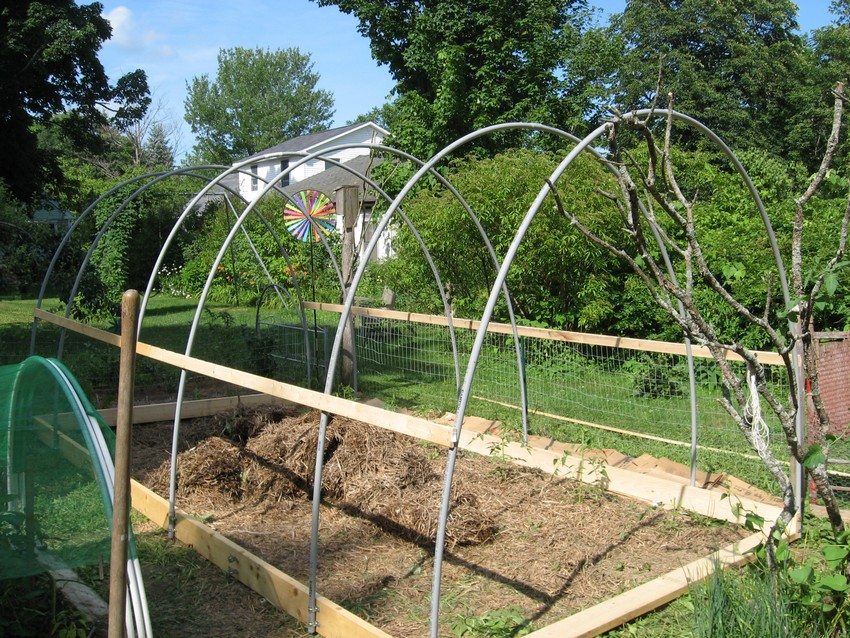 يمكن شراء الإطارات المقوسة للبيوت الزجاجية والدفيئات من المتاجر المتخصصة أو صنعها بنفسك يمكن شراء الإطارات المقوسة للبيوت الزجاجية والدفيئات من المتاجر المتخصصة أو صنعها بنفسك