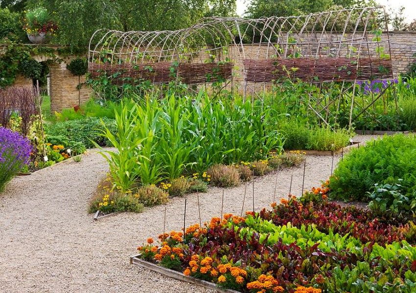 Rozwiązanie dla tych, którzy lubią uprawiać warzywa Rozwiązanie dla tych, którzy lubią uprawiać warzywa