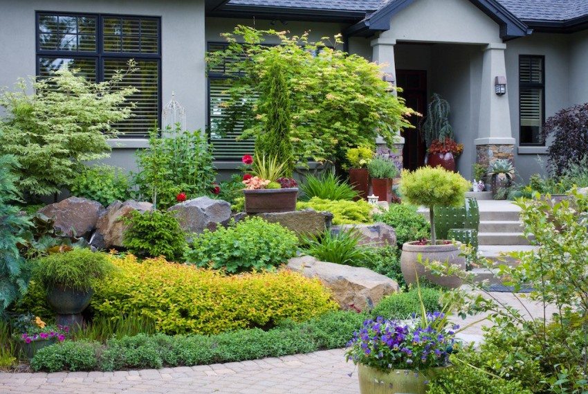 Zjeżdżalnia alpejska z kamieniami i krzewami Zjeżdżalnia alpejska z kamieniami i krzewami