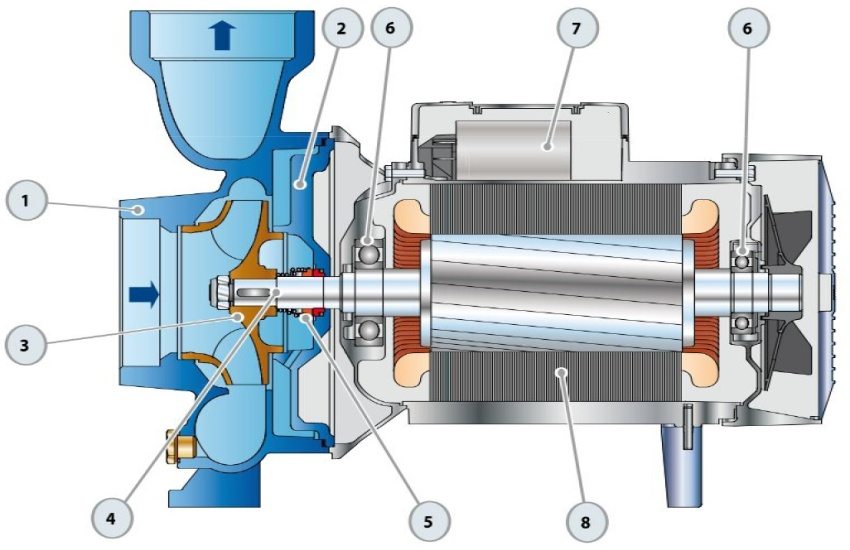 Struktura površinske jednostepene pumpe: 1 - kućište, 2 - poklopac, 3 - rotor, 4 - pogonsko vratilo, 5 - mehanička brtva, 6 - ležajevi, 7 - kondenzator, 8 - elektromotor Struktura površinske jednostepene pumpe: 1 - kućište, 2 - poklopac, 3 - rotor, 4 - pogonsko vratilo, 5 - mehanička brtva, 6 - ležajevi, 7 - kondenzator, 8 - elektromotor