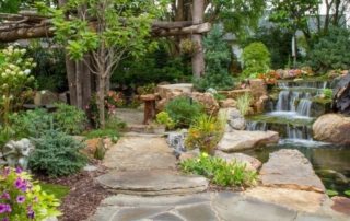 Planter til et alpint dias: navne og fotos, gør-det-selv havearbejde