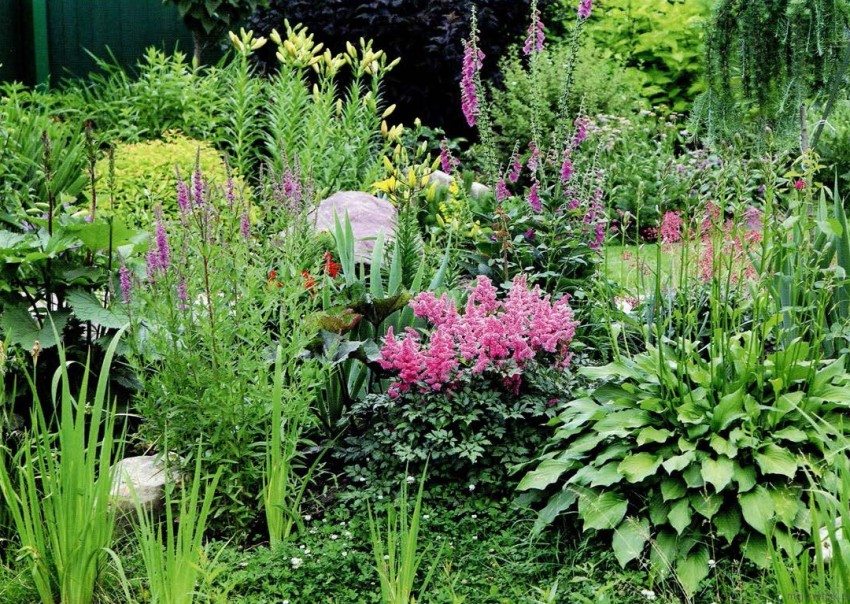 Mixborder can be supplemented with small stones Mixborder can be supplemented with small stones