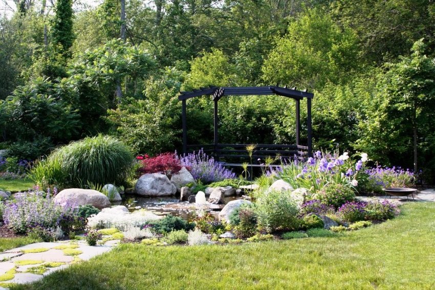 It is necessary to place a rock garden on the sunny side of the site It is necessary to place a rock garden on the sunny side of the site