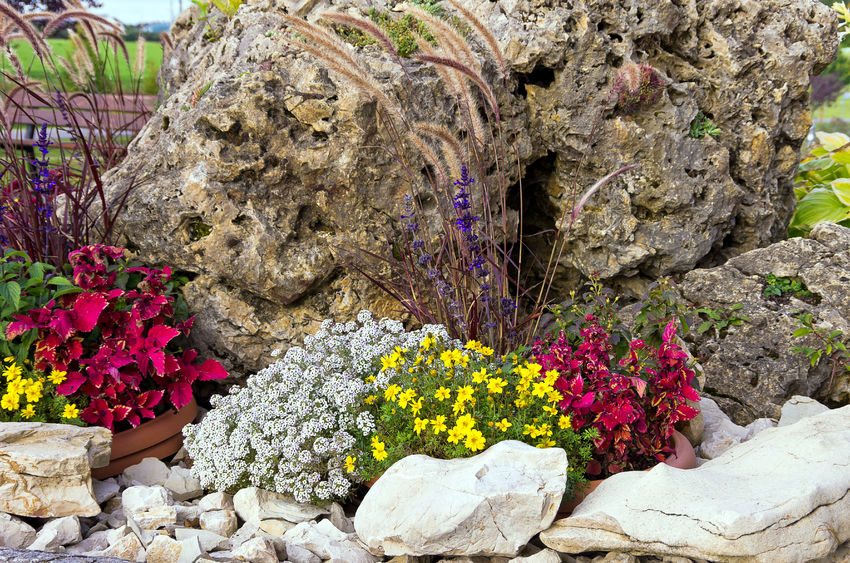 Limestone is used for the decoration of a small rockery Limestone is used for the decoration of a small rockery