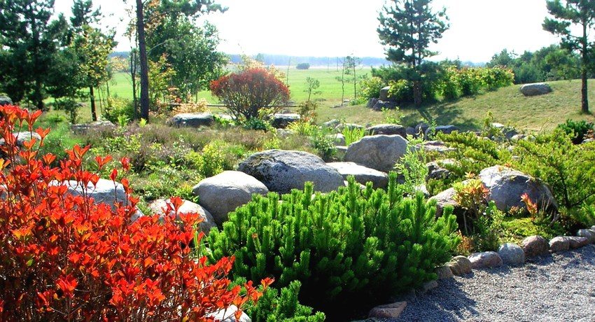 Rockery must harmoniously fit into the surrounding landscape Rockery must harmoniously fit into the surrounding landscape