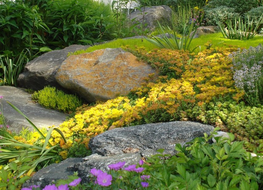 Bright rockery, arranged on a personal plot Bright rockery, arranged on a personal plot
