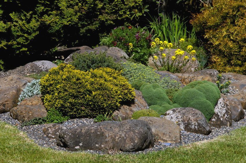 Rockery, created by yourself, in the courtyard of a country house Rockery, created by yourself, in the courtyard of a country house