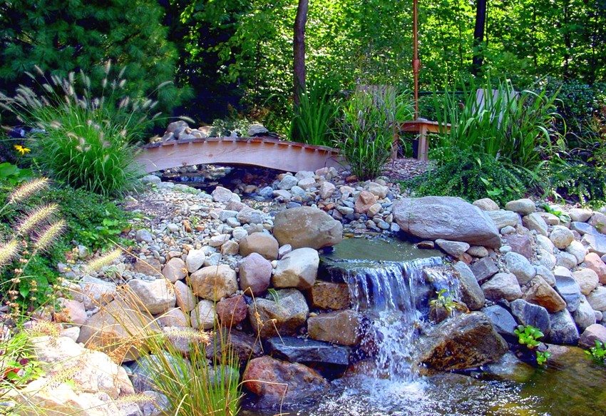 The best option for moisture-loving plants is planting them next to a water source The best option for moisture-loving plants is planting them next to a water source