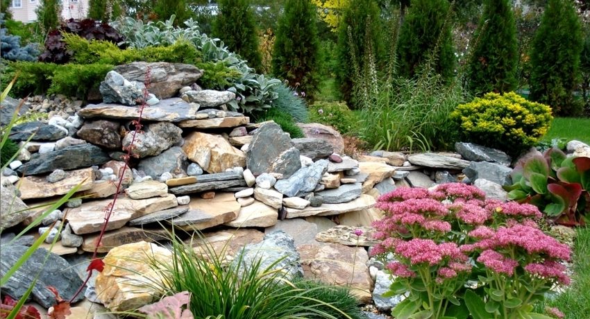 Rockery is a picturesque garden composition consisting of stones and decorative low-growing plants Alpine slide with stones in the country with your own hands: a photo of rockeries with step-by-step instructions