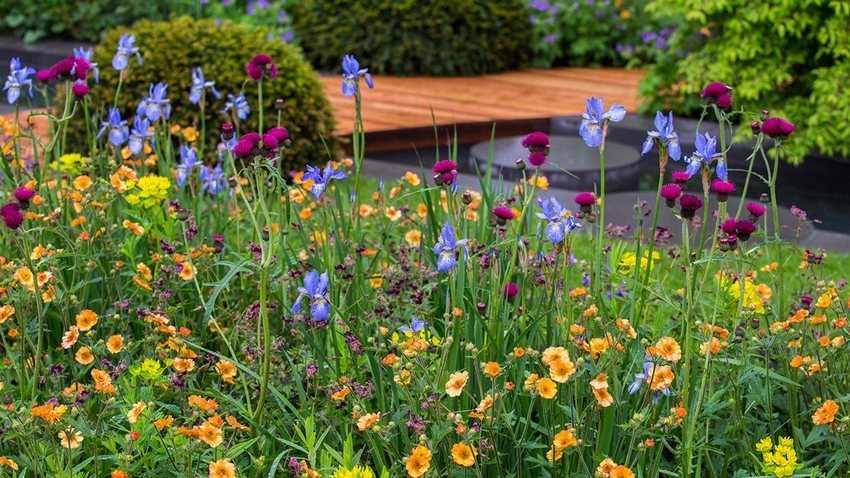 Takket være den blomstrende blomsterbed vil husområdet se lyst og festligt ud Takket være den blomstrende blomsterbed vil husområdet se lyst og festligt ud