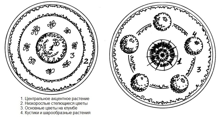 Layout af planter på en blomsterbed af bildæk Layout af planter på en blomsterbed af bildæk