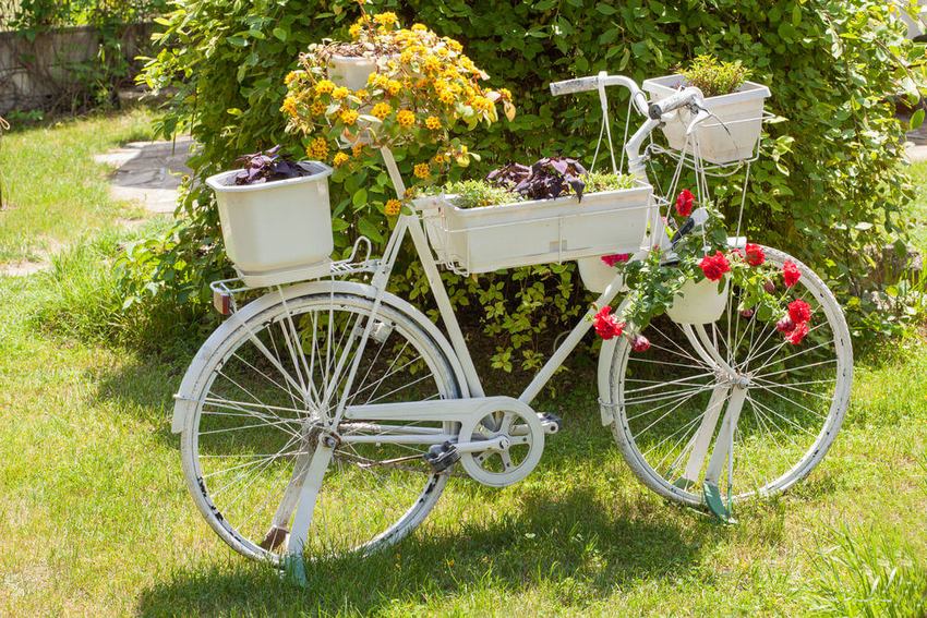 Gammel cykel, dekoreret med containere med blomster Gammel cykel, dekoreret med containere med blomster