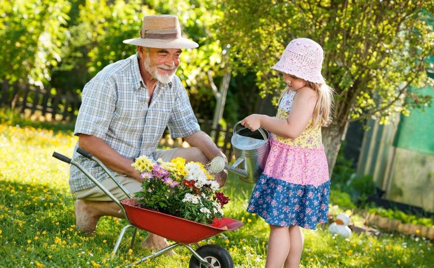 Podlewanie jest obowiązkowym elementem opieki nad domkami letniskowymi Podlewanie jest obowiązkowym elementem opieki nad domkami letniskowymi