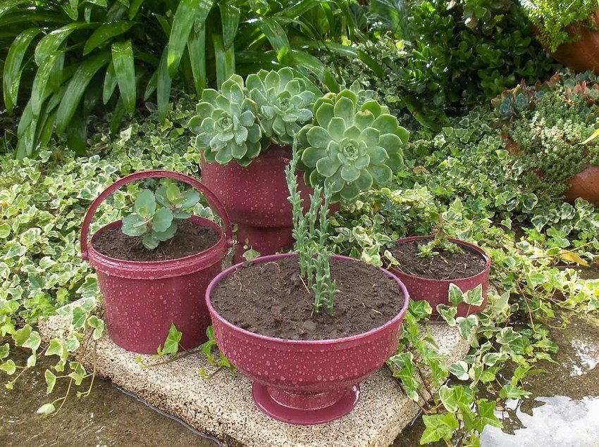 Lọ lốp ô tô trong sân nhà riêng. Lọ lốp ô tô trong sân nhà riêng.