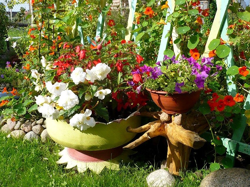 Một cái chậu trên chân làm bằng lốp xe cũ, nằm trong vườn Một cái chậu trên chân làm bằng lốp xe cũ, nằm trong vườn