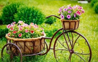 Blomsterbed i gården til et privat hus: fotos af originale ideer