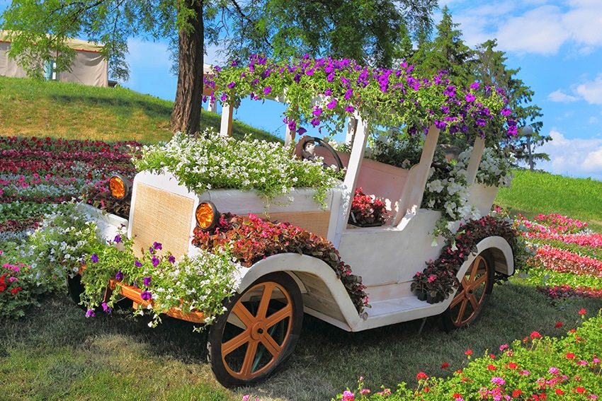 Blomsterbed-bilen bliver et unikt designelement i baghaven Blomsterbed-bilen bliver et unikt designelement i baghaven