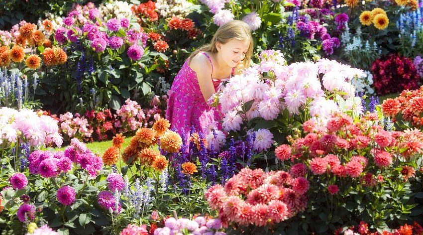 En blomsterbed arrangeret i gården på et landsted En blomsterbed arrangeret i gården på et landsted