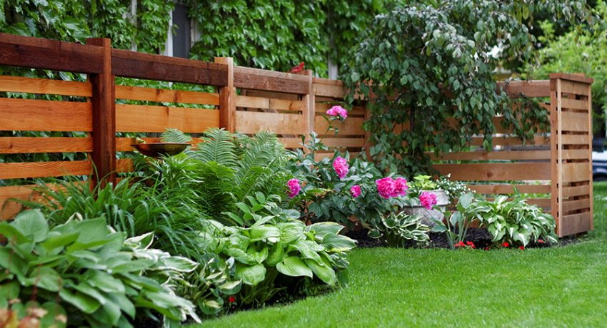 Svetlý a dobre upravený plot bude zdobiť každé územie Krásne ploty pre súkromné domy: fotografie nádherných plotov