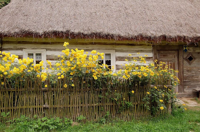 ฟันดาบด้วยแท่งแนวตั้ง ฟันดาบด้วยแท่งแนวตั้ง