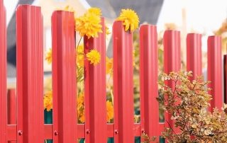 גדר מתכת מתכתית: תמונות של גדרות מסודרות