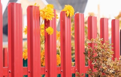 รั้วโลหะ: รูปถ่ายของรั้วที่เรียบร้อย