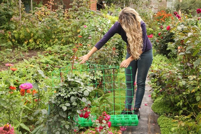 ตาข่ายพลาสติกเป็นวัสดุที่ค่อนข้างหลากหลายและไม่เพียง แต่ใช้ในการจัดรั้วเท่านั้น ตาข่ายพลาสติกเป็นวัสดุที่ค่อนข้างหลากหลายและไม่เพียง แต่ใช้ในการจัดรั้วเท่านั้น