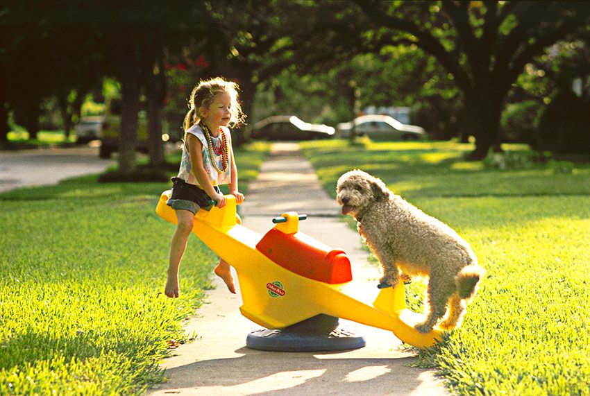 Plastikowa huśtawka typu równoważącego Plastikowa huśtawka typu równoważącego